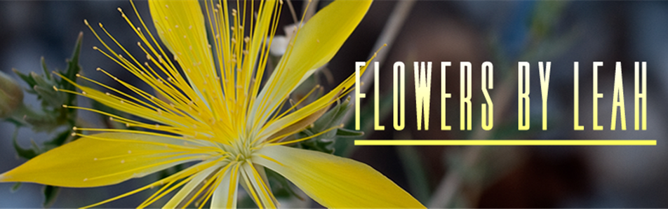 Flowers by Leah